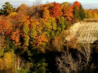 23207CrLe - Autumn colours from the Taunton Road bridge over Duffins Creek.JPG